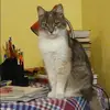 Отзыв от Ангелина Дорохова